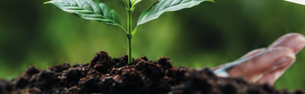 Développement durable
